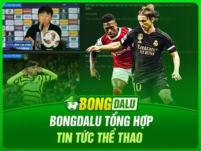 Bongdalu tổng hợp đầy đủ tin tức thể thao trong ngày