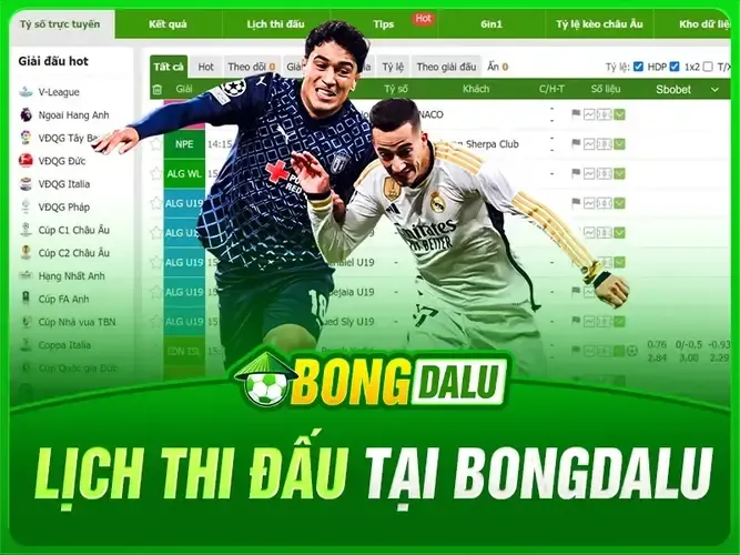 Lịch thi đấu bóng đá tại bongdalu