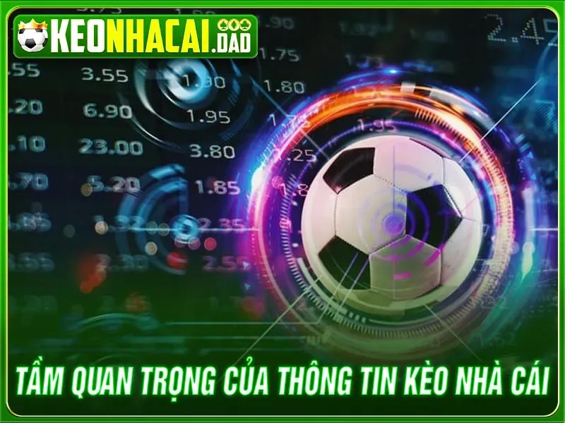 kèo nhà cái, tỷ lệ kèo