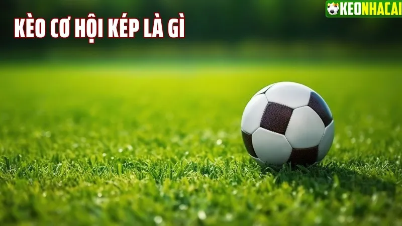 Kèo cơ hội kép là gì?