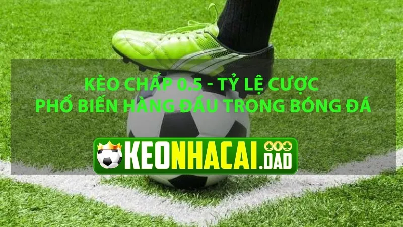 Kèo Chấp 0.5 – Tỷ Lệ Cược Phổ Biến Hàng Đầu Trong Bóng Đá