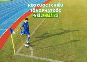 Tìm hiểu kèo cược 3 chiều tổng phạt góc dễ thắng nhất