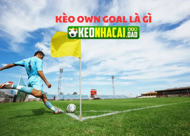 Định nghĩa Kèo Own Goal là gì?