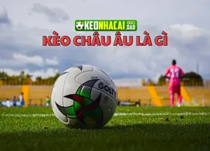 Kèo Châu Âu là gì? Và cách soi kèo Châu Âu dễ thắng nhất